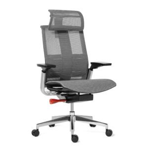 Match Blue Ergonomic Chair