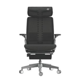 Blue Fit Ergonomic Chair
